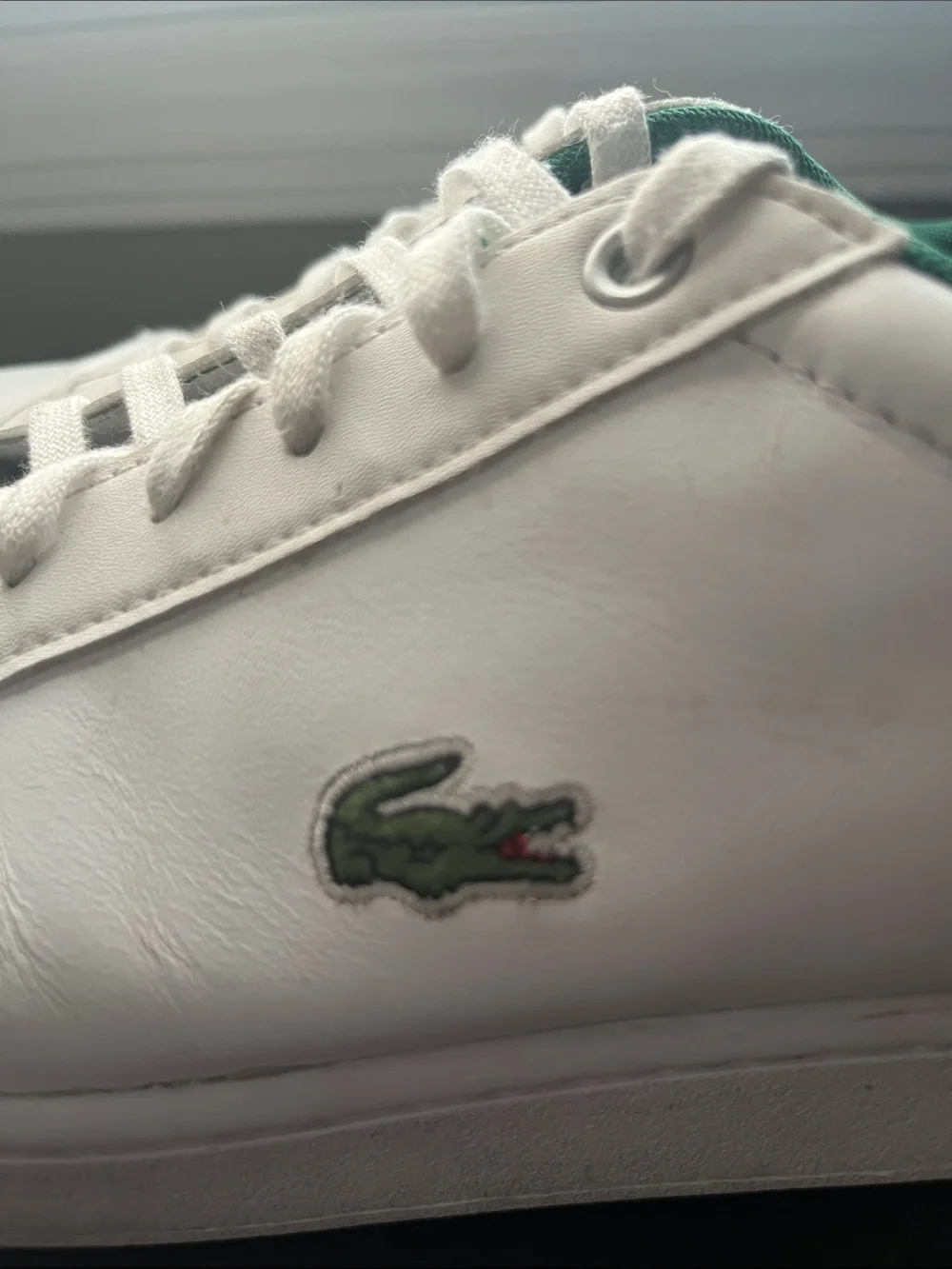 Men’s Lacoste White Leather Low-Top Sneakers with Green Interior